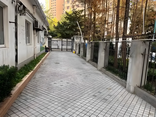 教皇