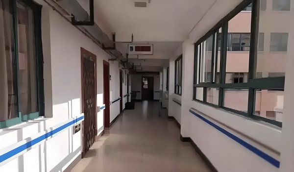 尸姐葬经